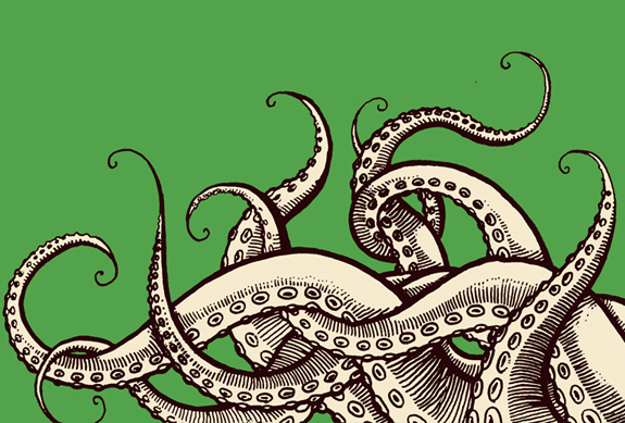 On Being an Octopus - Boston Review