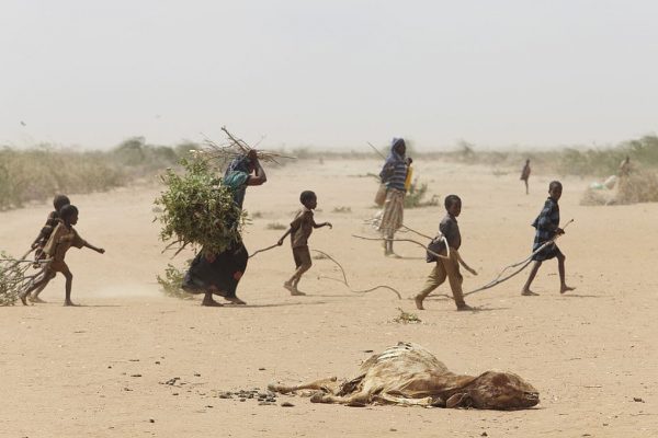 1024px-Oxfam_East_Africa_-_A_family_gathers_sticks_and_branches_for_firewood