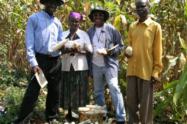 CIMMYT Maize Breeder Alpha Diallo shows off his maize in Sauri village.