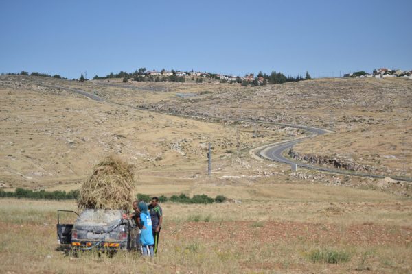 A_family_harvest_their_crops_in_the_South_Hebron_Hills.-scaled