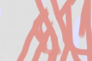 IMG_7224-web