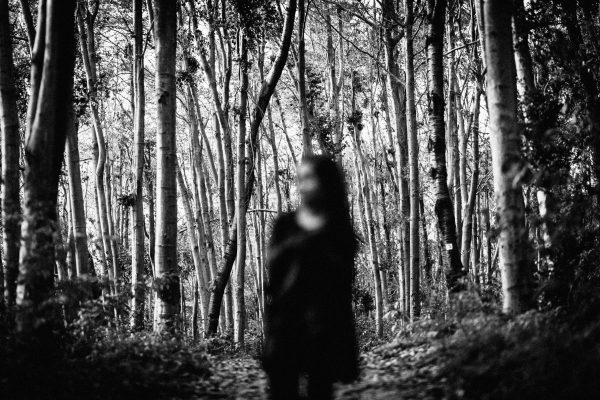 image of woman walking in forest