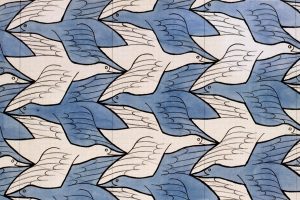 two-birds_fraser